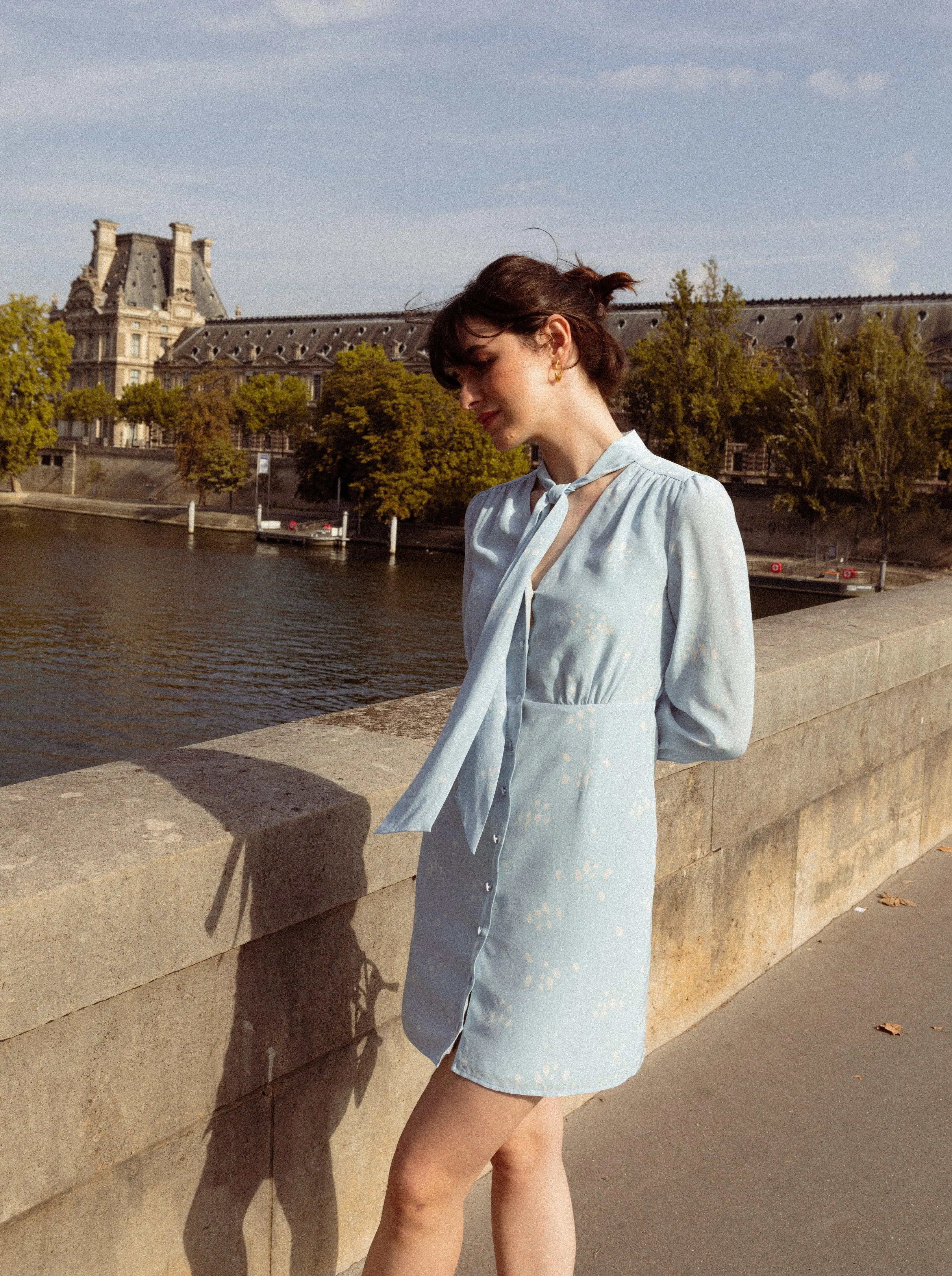 Kari Silk Dress