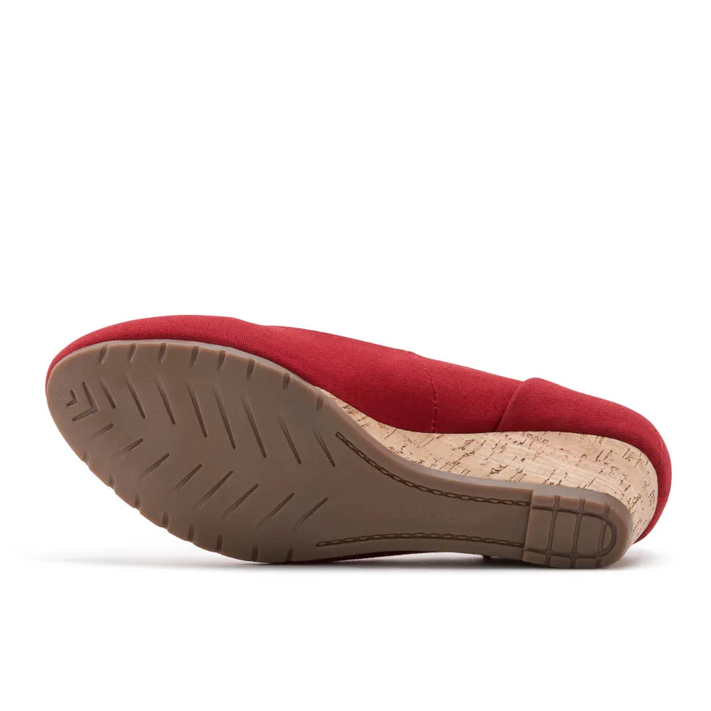 Seabird Eco